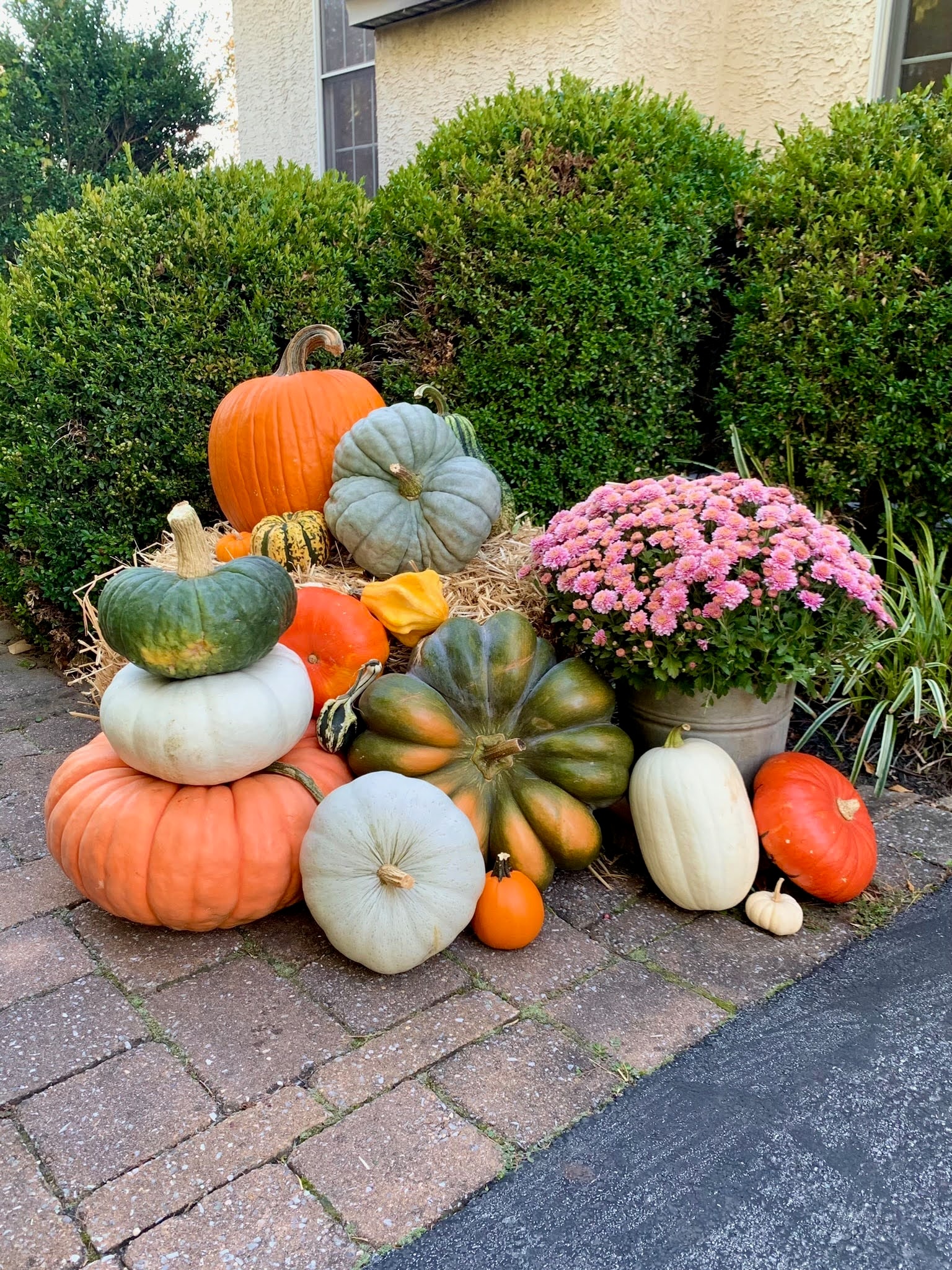 Pumpkin and mum display by Autumn Porch Designs
