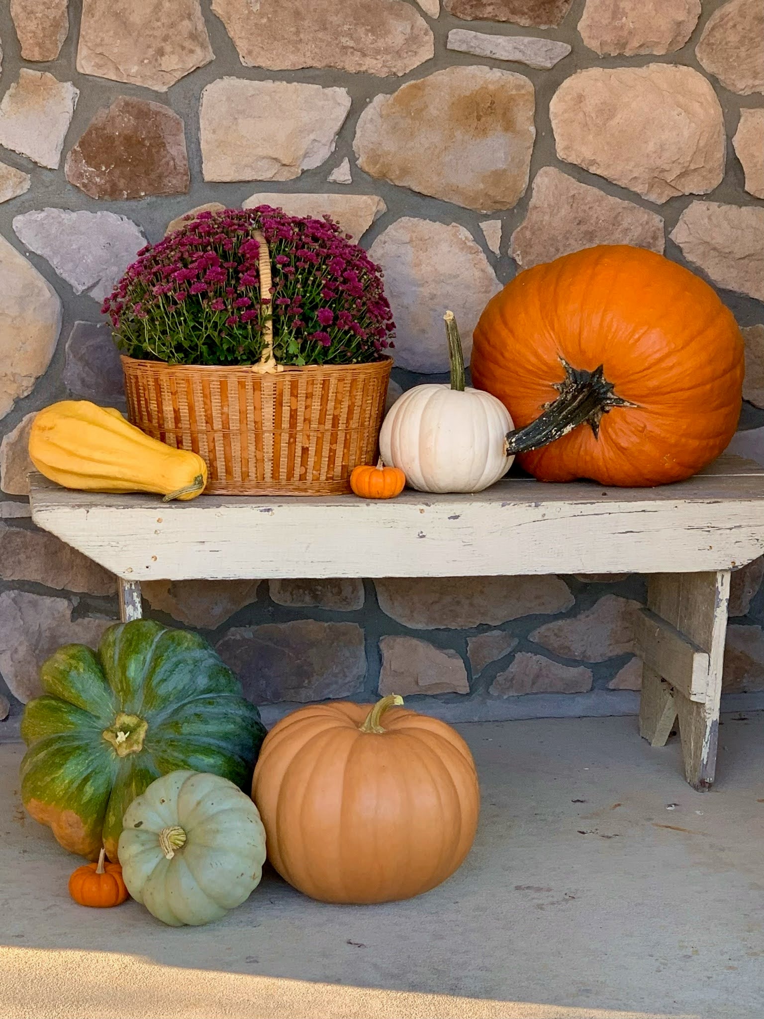 Pumpkins and gourds on a rustic bench