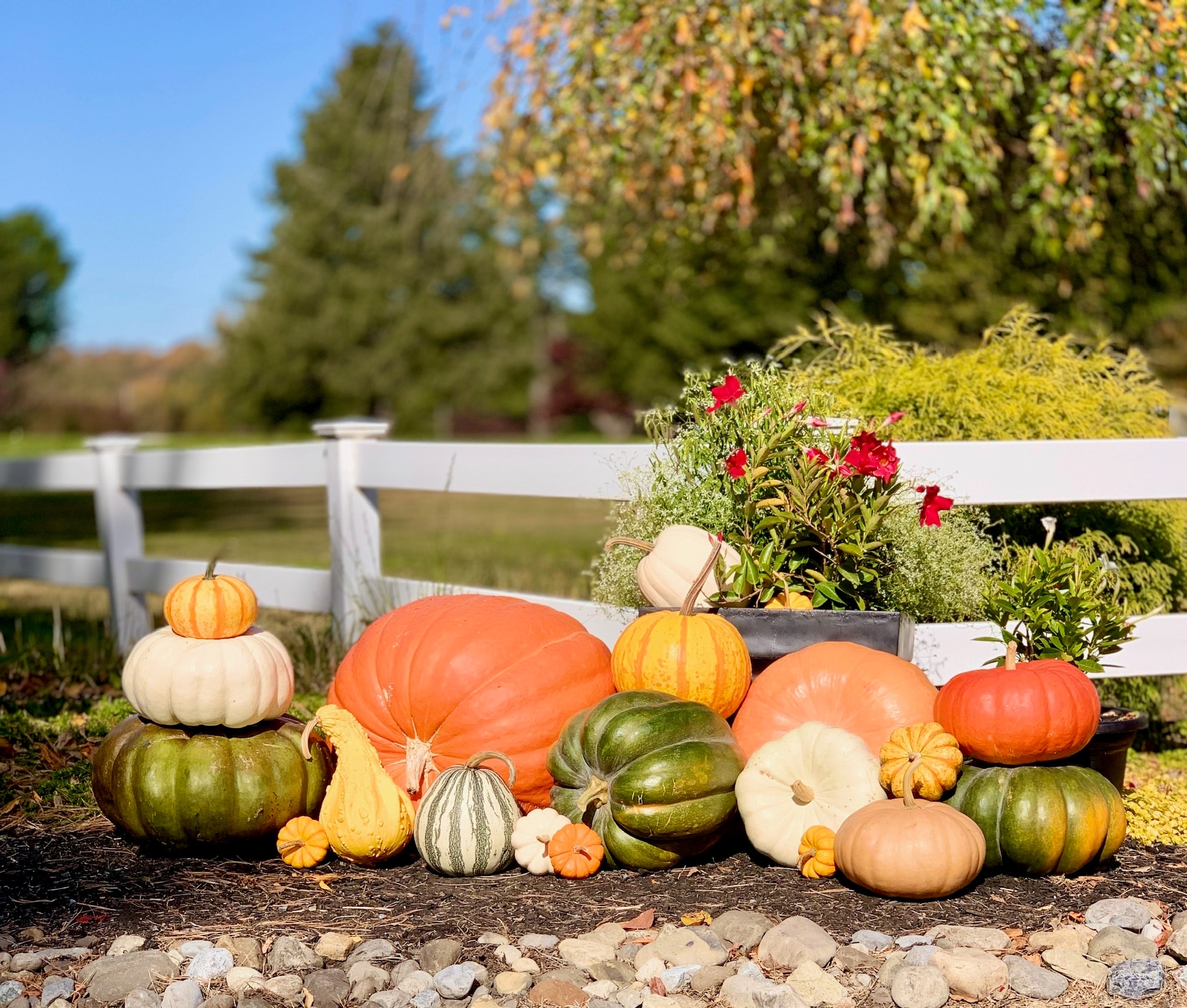 Autumn pumpkin display by Autumn Porch Designs